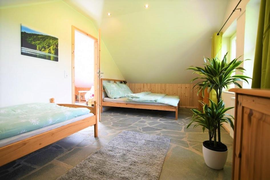 Ferienhaus Eifelrose 심머라스 외부 사진